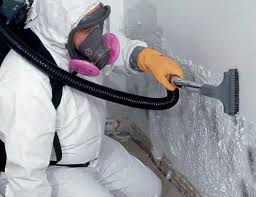 Best Mold Odor Removal Services  in Marlton, MD